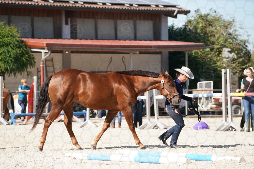 s_A_907559.JPG